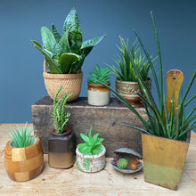 Load image into Gallery viewer, Vintage Boho Woven Basket Plant Pot Planter