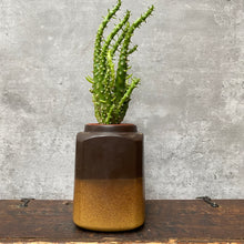 Load image into Gallery viewer, Vintage Small Ceramic Plant Pot Planter by Honiton - Made in Devon - England