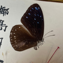 Load image into Gallery viewer, Vintage 1970s Retro Chinese 3D Art Picture - Kaawai Kitsch