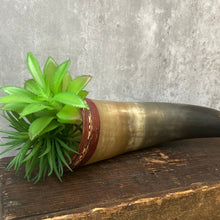 Load image into Gallery viewer, Vintage Powder Horn Flask Planter Plant Pot for Succulents/Cactus/Air Plants