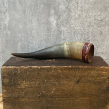 Load image into Gallery viewer, Vintage Powder Horn Flask Planter Plant Pot for Succulents/Cactus/Air Plants