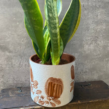 Load image into Gallery viewer, Vintage West German Ceramic Mid Century Planter Plant Pot - Large