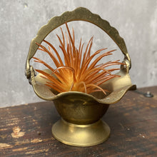 Load image into Gallery viewer, Pair Vintage Mini Brass Basket Plant Pot Planter for Succulents or Cactus