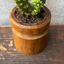 Load image into Gallery viewer, Vintage Mini Wood Plant Pot Planter For Succulents & Cactus