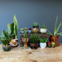 Load image into Gallery viewer, Vintage Ceramic Mid Century Green & Brown Planter Plant Pot