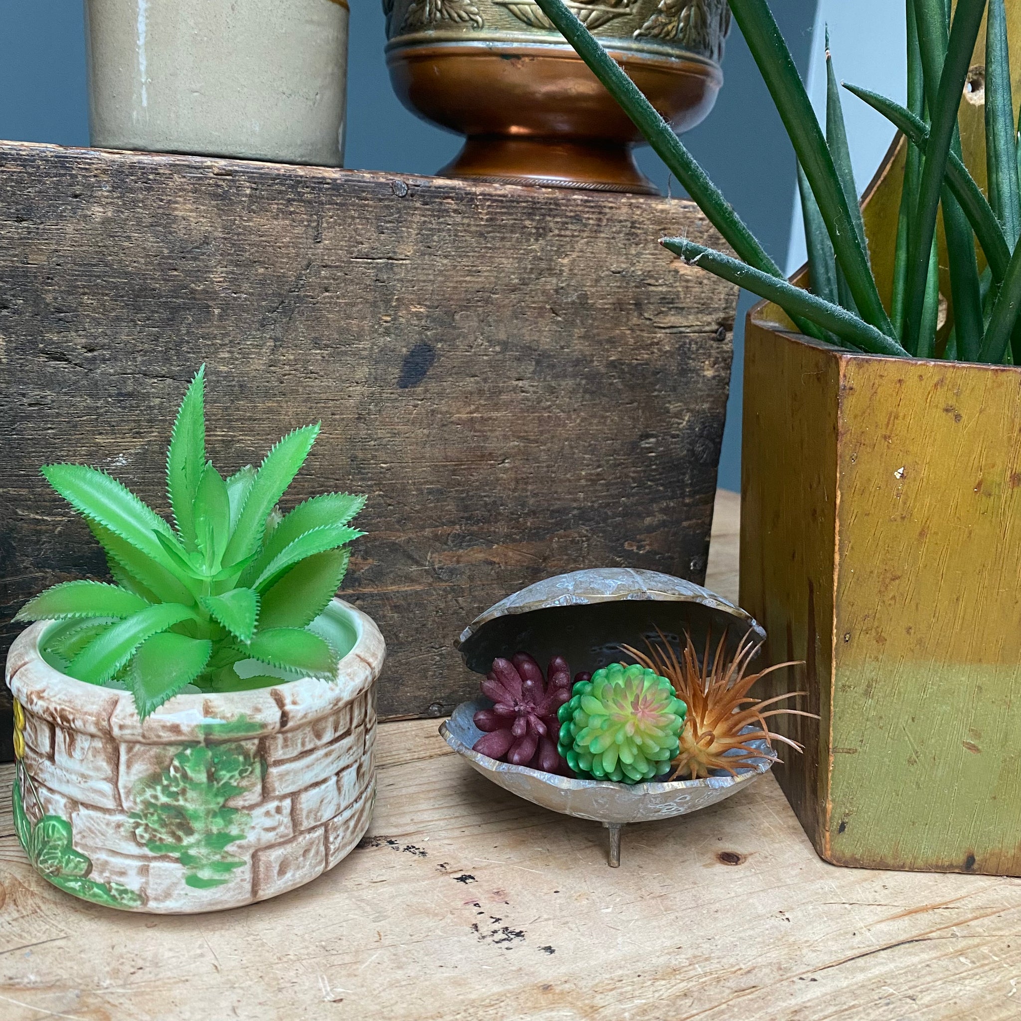 brass succulent planter Vintage Distressed Scallop Shell Brass Succulents Planter Plant Pot – RAISED IN A CIRCUS