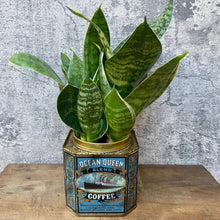 Load image into Gallery viewer, Vintage American Coffee Tin Planter Plant Pot
