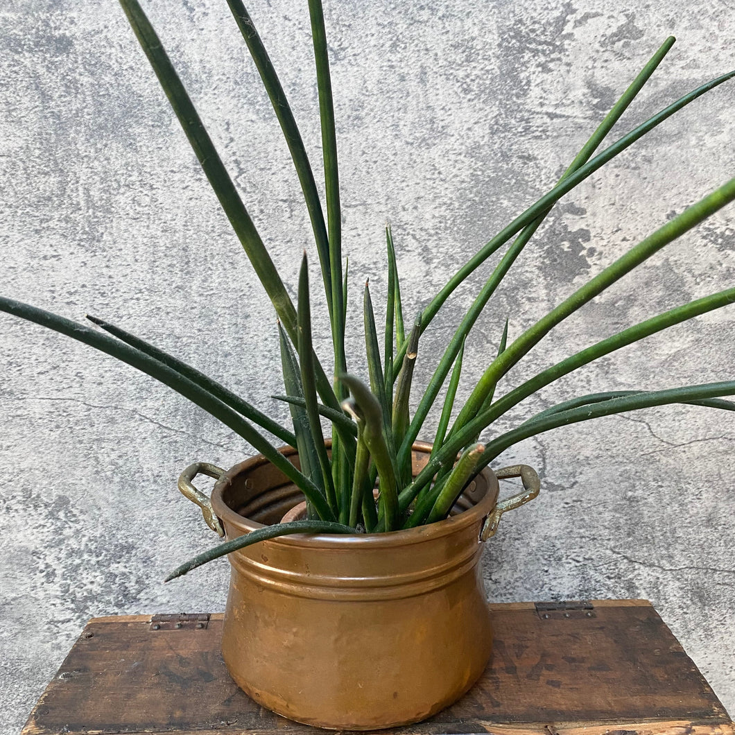 Vintage Handmade Brass Plant Pot Planter