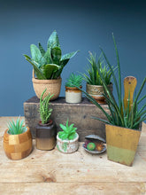 Load image into Gallery viewer, Vintage Mid-Century Modern Wood 1950s Plant Pot Planter
