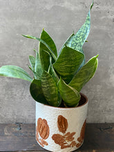 Load image into Gallery viewer, Vintage West German Ceramic Mid Century Planter Plant Pot - Medium
