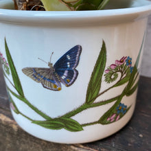 Load image into Gallery viewer, Vintage Y2K Flower &amp; Butterfly Ceramic Planter Plant Pot by Portmeirion
