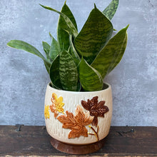 Load image into Gallery viewer, Vintage Ceramic Mid Century Cream &amp; Brown Planter Plant Pot by Sylvac
