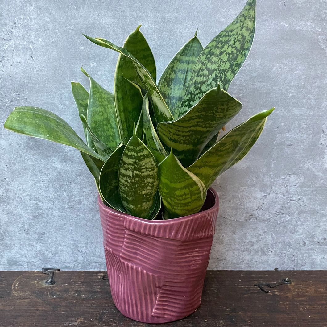 Vintage 1980s Purple Ceramic Planter House Plant Pot