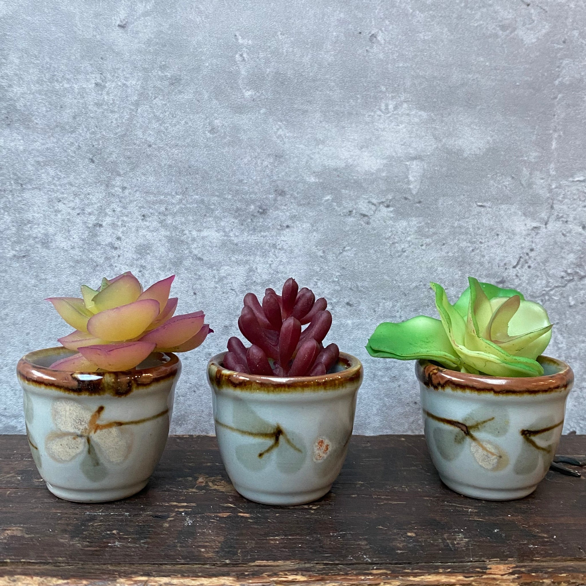 Trio of Vintage Mini Ceramic Mid Century Plant Pots Planters for Succu –  RAISED IN A CIRCUS