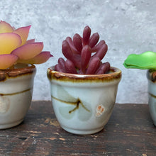 Load image into Gallery viewer, Trio of Vintage Mini Ceramic Mid Century Plant Pots Planters for Succulents or Cactus
