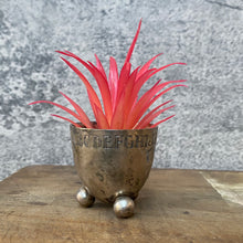 Load image into Gallery viewer, Vintage British 1920s Alphabet Etched Silver Plated Mini Planter Plant Pot
