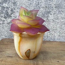 Load image into Gallery viewer, Tiny Vintage Onyx Planter Plant Pot for Succulents/Cactus
