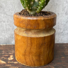 Load image into Gallery viewer, Vintage Mini Wood Plant Pot Planter For Succulents &amp; Cactus
