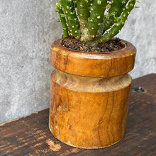 Load image into Gallery viewer, Vintage Mini Wood Plant Pot Planter For Succulents &amp; Cactus
